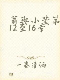 翁与小莹第十部12至16章