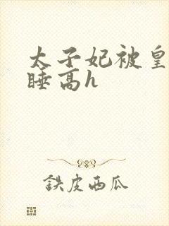 太子妃被皇上强睡高h