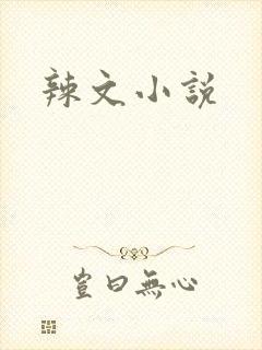 辣文小说