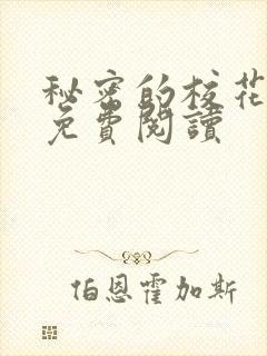 秘密的校花小说免费阅读