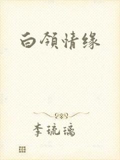 白领情缘