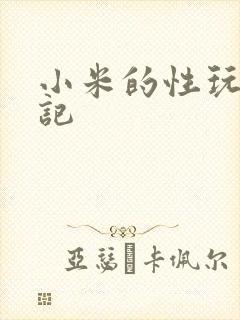 小米的性玩具日记