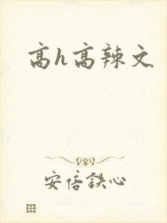 高h高辣文
