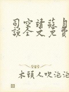 司空靖苏月汐小说全文免费阅读