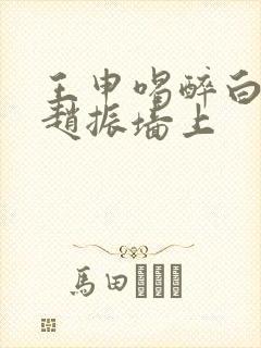 王申喝醉白洁被赵振墙上