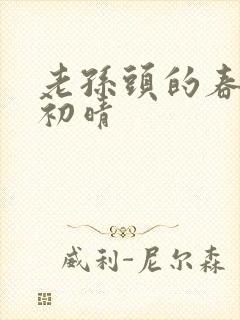 老孙头的春天林初晴