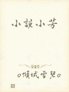 小说小芳