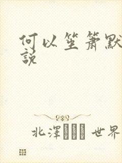 何以笙箫默 小说