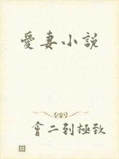 爱妻小说