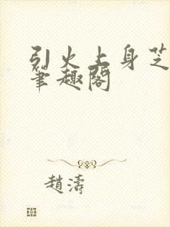 引火上身芝麻糖笔趣阁