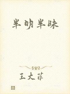 半明半昧