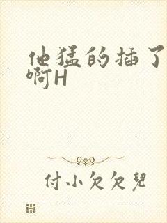 他猛的插了进去啊H