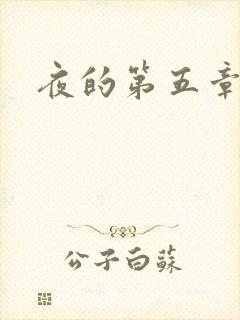 夜的第五章