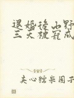 退婚后山野糙汉三天被宠成宝小说