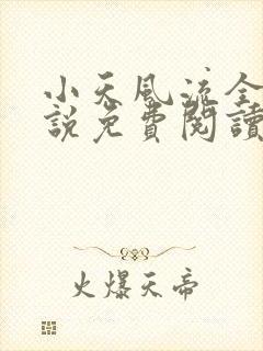 小天风流全集小说免费阅读