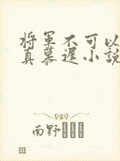 将军不可以魏云真慕迟小说笔趣阁