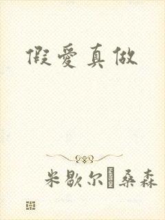 假爱真做