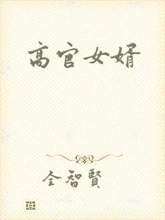 高官女婿