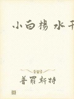 小白杨 水千丞
