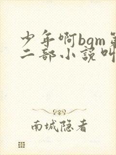 少年啊bgm第二部小说叫什么