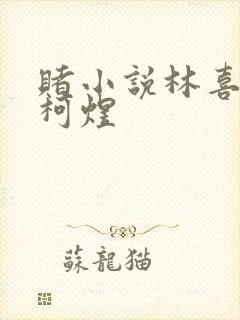 赌小说林喜朝和柯煜