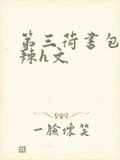 第三荷书包网高辣h文