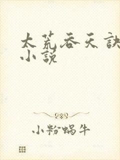 太荒吞天诀免费小说