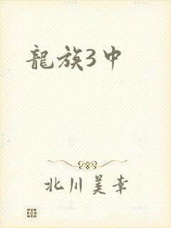 龙族3中