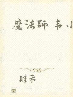 魔法师 韦小宝