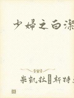 少妇之白洁全篇