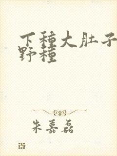 下种大肚子怀孕野种