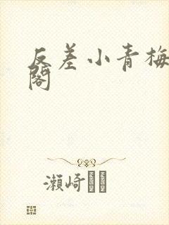 反差小青梅笔趣阁