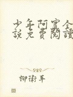 少年阿宾全文小说免费阅读笔趣阁