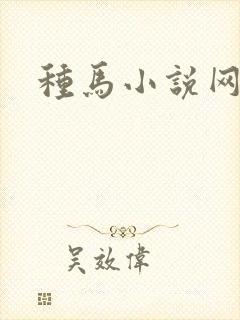 种马小说网