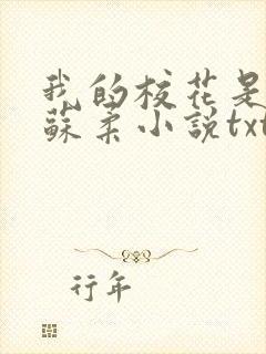 我的校花是福姬苏柔小说txt