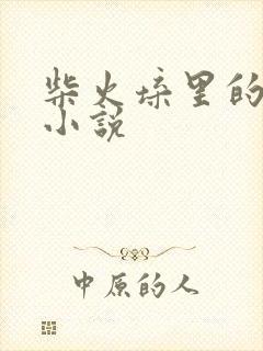 柴火垛里的疯狂小说