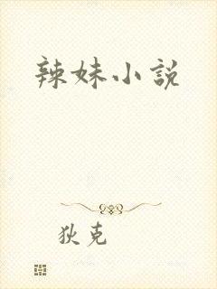 辣妹小说