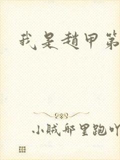 我是赵甲第小说