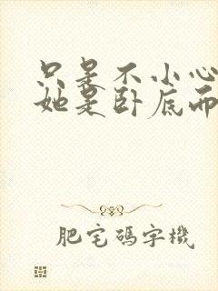 只是不小心发现她是卧底而已