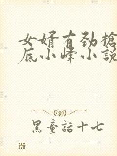 女婿有劲枪枪到底小峰小说