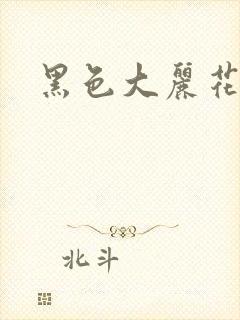 黑色大丽花图片