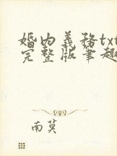 婚内义务txt完整版笔趣阁