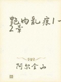 艳肉乱痕1一12章