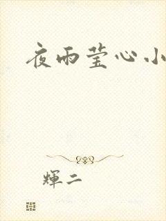 夜雨莹心小说