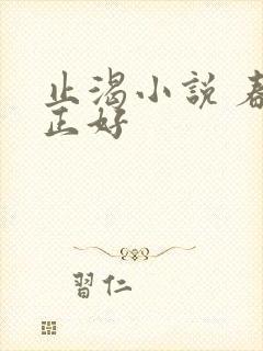 止渴小说 春光正好