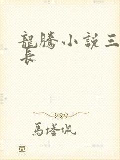 龙腾小说三宝局长