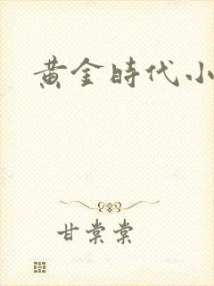 黄金时代小说