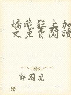 娇藏狂上加狂全文免费阅读笔趣阁