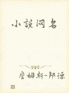 小说网名