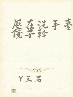 压在洗手台看着镜子干